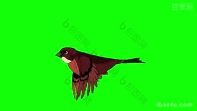 棕色鸟飞动画循环运动图形孤立在绿色屏幕上